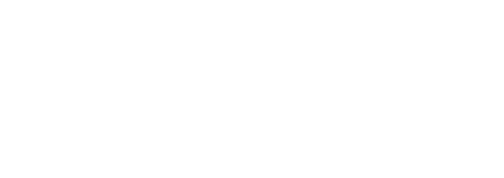 footerLogo